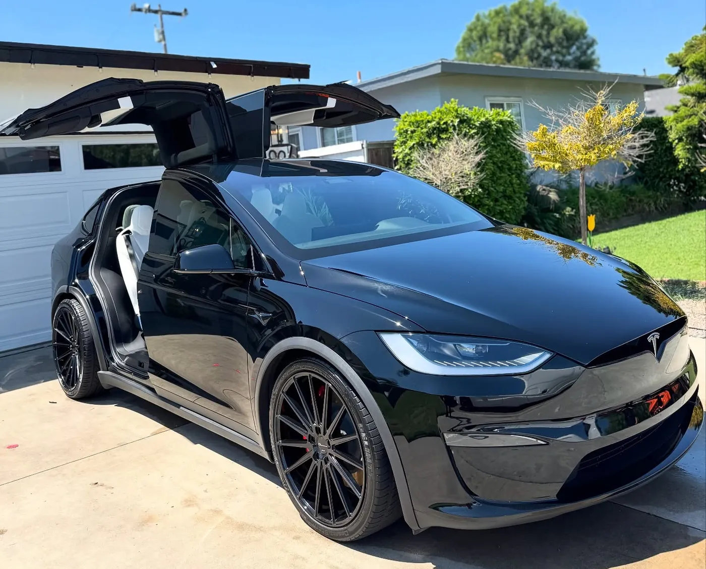 Black Tesla Model X with its doors up, freshly detailed in a customer's driveway